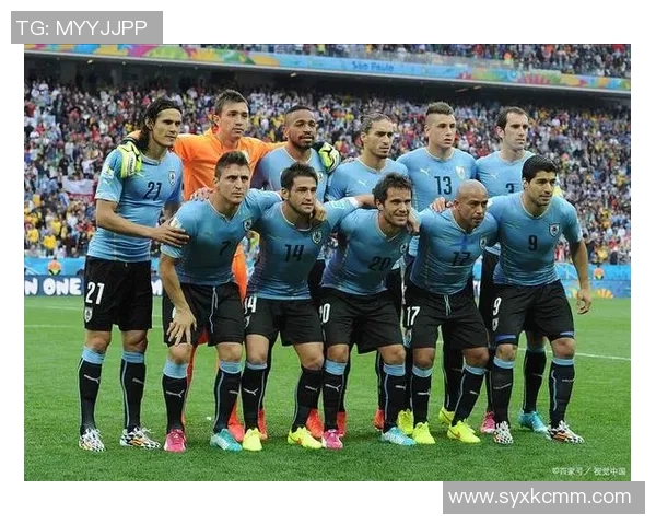 赖扬足球俱乐部核心球员风采揭秘 球场上闪耀的明星力量 赖扬足球俱乐部核心球员风采揭秘 球场上闪耀的明星力量